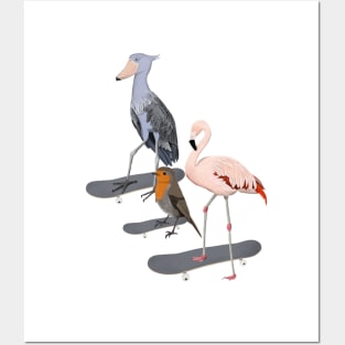 Shoebill Flamingo Robin Bird Skateboard Birdwatcher Animal Biologist Posters and Art